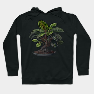 Calathea Bonsai Hoodie